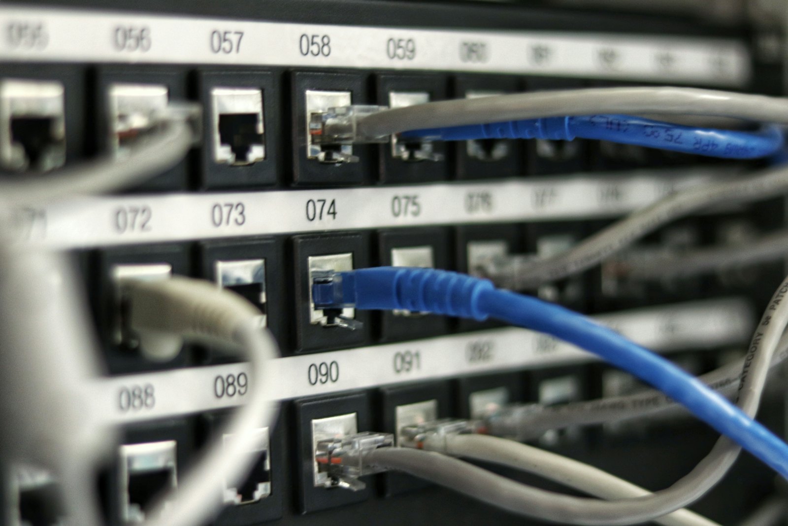 Dense network switch cabling in a server rack.